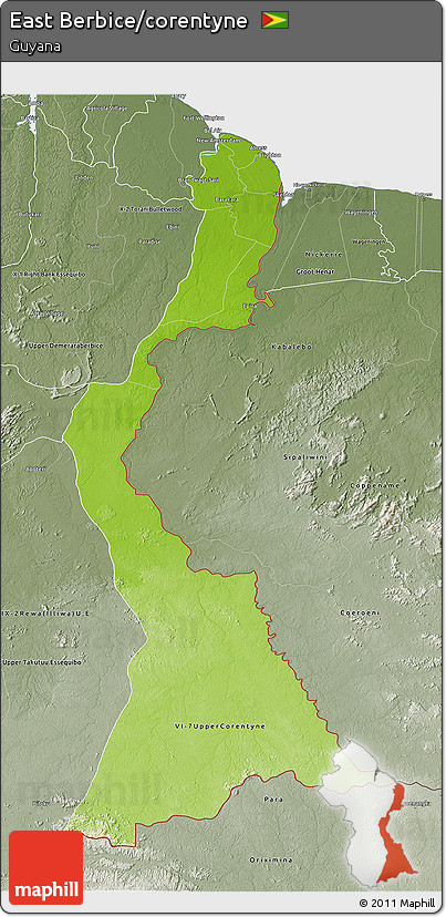 Physical 3D Map of East Berbice/corentyne, semi-desaturated