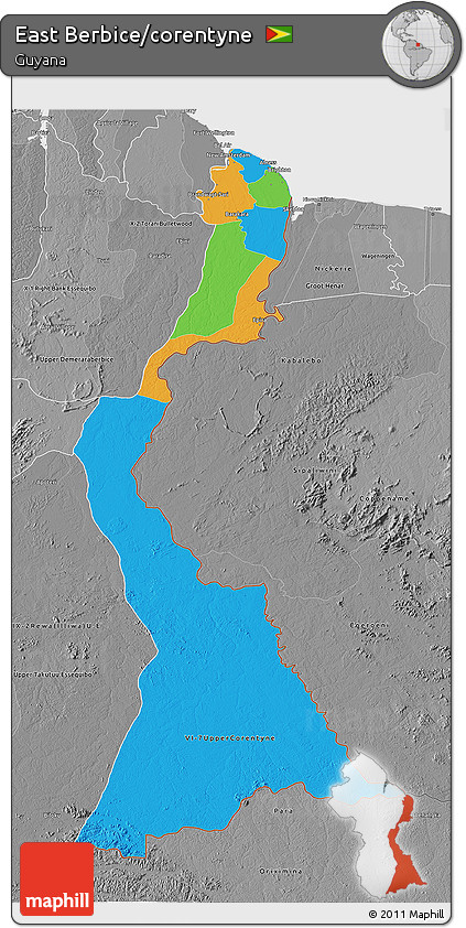 Political 3D Map of East Berbice/corentyne, desaturated