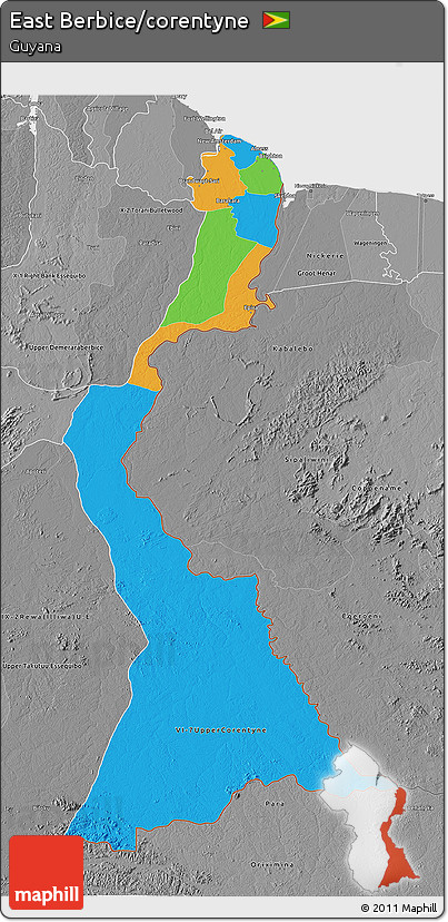Political 3D Map of East Berbice/corentyne, desaturated