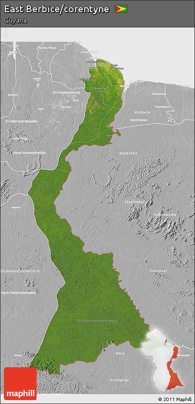 Satellite 3D Map of East Berbice/corentyne, lighten, desaturated