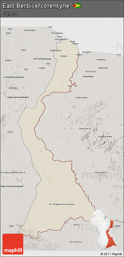 Shaded Relief 3D Map of East Berbice/corentyne, semi-desaturated