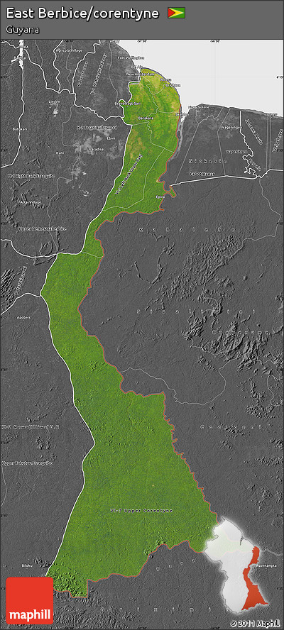Satellite Map of East Berbice/corentyne, desaturated