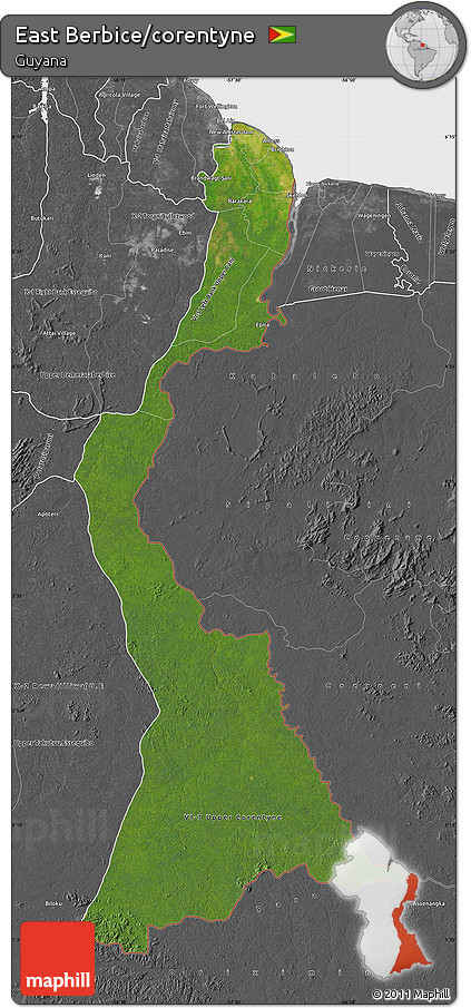 Satellite Map of East Berbice/corentyne, desaturated