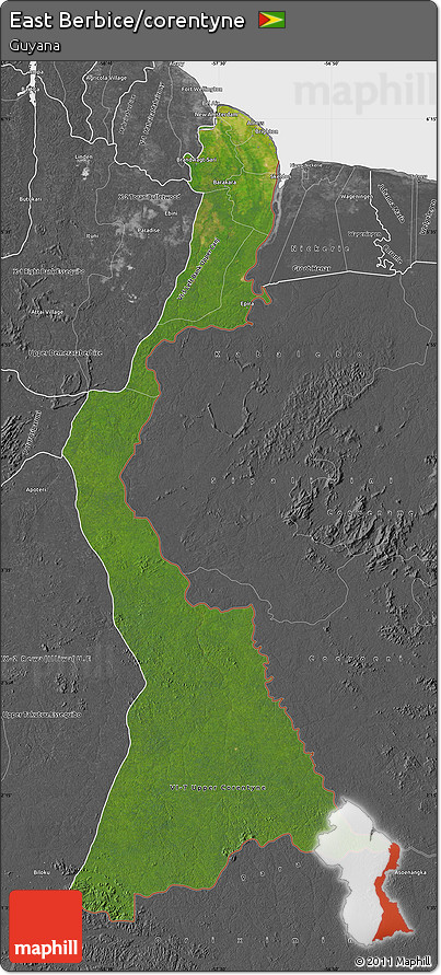 Satellite Map of East Berbice/corentyne, desaturated