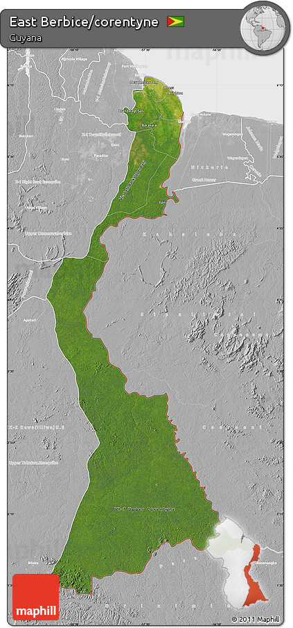 Satellite Map of East Berbice/corentyne, lighten, desaturated
