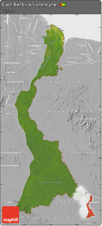 Satellite Map of East Berbice/corentyne, lighten, desaturated