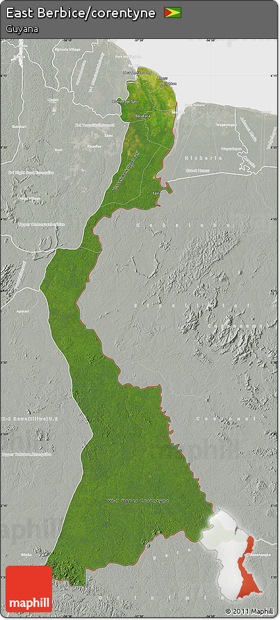 Satellite Map of East Berbice/corentyne, lighten, semi-desaturated
