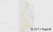 Shaded Relief Map of East Berbice/corentyne, lighten, desaturated