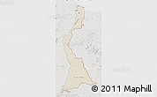 Shaded Relief Map of East Berbice/corentyne, lighten, semi-desaturated