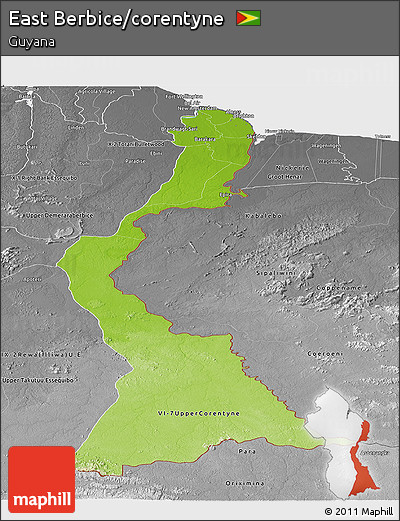 Physical Panoramic Map of East Berbice/corentyne, desaturated