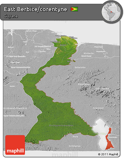 Satellite Panoramic Map of East Berbice/corentyne, lighten, desaturated