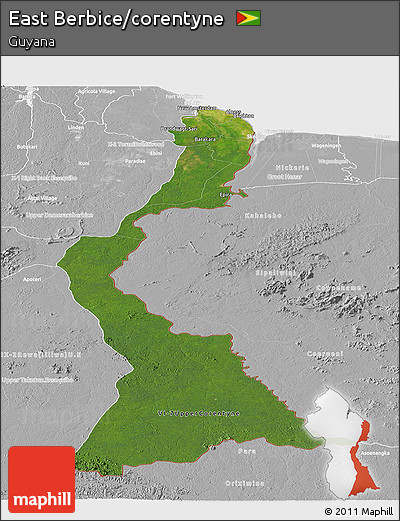Satellite Panoramic Map of East Berbice/corentyne, lighten, desaturated