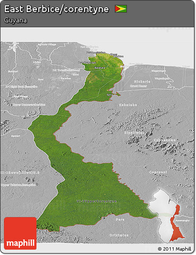 Satellite Panoramic Map of East Berbice/corentyne, lighten, desaturated