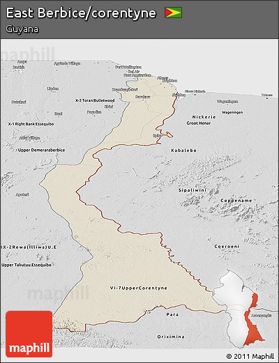 Shaded Relief Panoramic Map of East Berbice/corentyne, desaturated