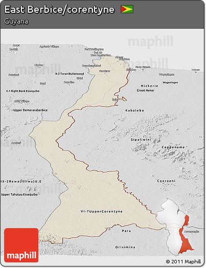 Shaded Relief Panoramic Map of East Berbice/corentyne, desaturated
