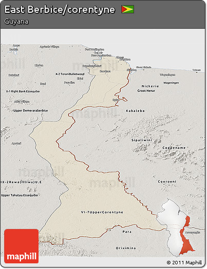 Shaded Relief Panoramic Map of East Berbice/corentyne, semi-desaturated