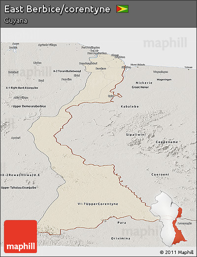 Shaded Relief Panoramic Map of East Berbice/corentyne, semi-desaturated