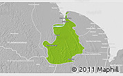 Physical 3D Map of VI-1 East Berbice/W.Canje, lighten, desaturated