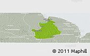 Physical Panoramic Map of VI-1 East Berbice/W.Canje, lighten, semi-desaturated