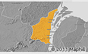 Political 3D Map of III-1 Essequibo Islands, desaturated