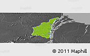 Physical Panoramic Map of III-1 Essequibo Islands, darken, desaturated