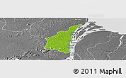 Physical Panoramic Map of III-1 Essequibo Islands, desaturated