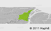 Physical Panoramic Map of III-1 Essequibo Islands, lighten, desaturated