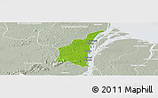 Physical Panoramic Map of III-1 Essequibo Islands, lighten, semi-desaturated