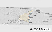 Shaded Relief Panoramic Map of III-1 Essequibo Islands, desaturated
