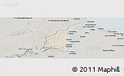 Shaded Relief Panoramic Map of III-1 Essequibo Islands, semi-desaturated