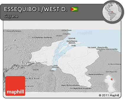 Gray Panoramic Map of ESSEQUIBO I./WEST D.