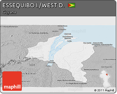 Gray Panoramic Map of ESSEQUIBO I./WEST D.
