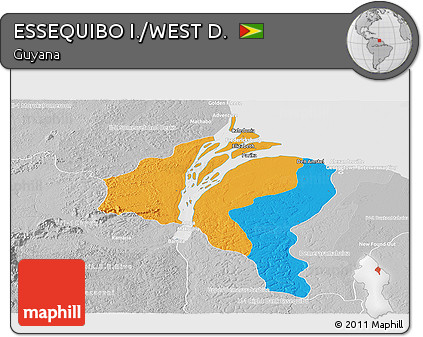 Political Panoramic Map of ESSEQUIBO I./WEST D., lighten, desaturated