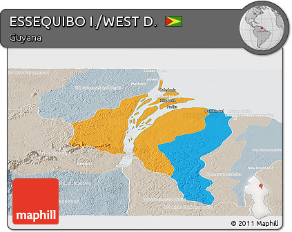 Political Panoramic Map of ESSEQUIBO I./WEST D., lighten, semi-desaturated
