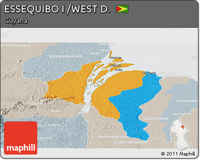 Political Panoramic Map of ESSEQUIBO I./WEST D., lighten, semi-desaturated