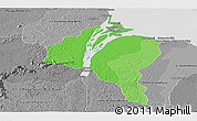 Political Shades Panoramic Map of ESSEQUIBO I./WEST D., desaturated