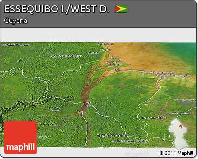 Satellite Panoramic Map of ESSEQUIBO I./WEST D.