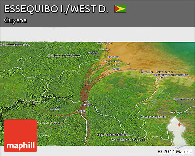 Satellite Panoramic Map of ESSEQUIBO I./WEST D.