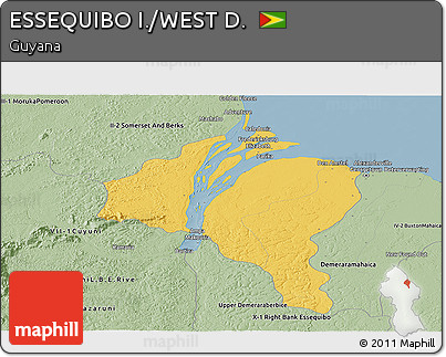 Savanna Style Panoramic Map of ESSEQUIBO I./WEST D.