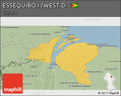 Savanna Style Panoramic Map of ESSEQUIBO I./WEST D.