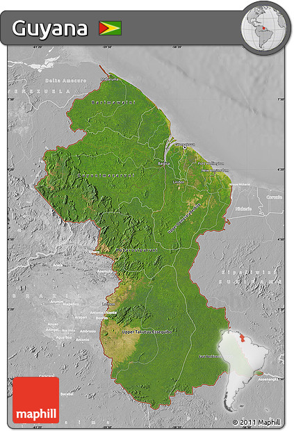 Satellite Map of Guyana, lighten, desaturated