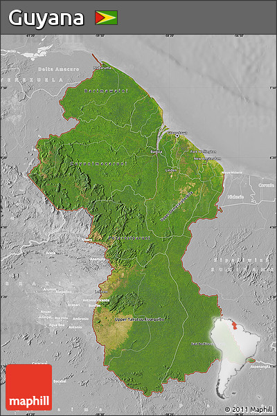 Satellite Map of Guyana, lighten, desaturated