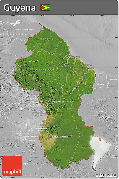 Satellite Map of Guyana, lighten, desaturated
