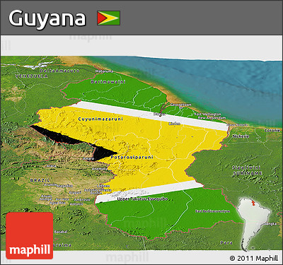 Flag Panoramic Map of Guyana, satellite outside, flag centered