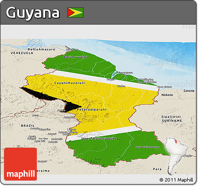 Flag Panoramic Map of Guyana, shaded relief outside, flag centered