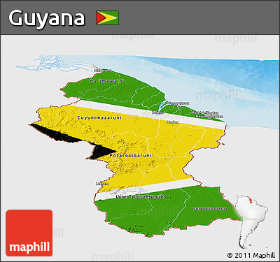 Flag Panoramic Map of Guyana, single color outside, shaded relief sea, flag centered