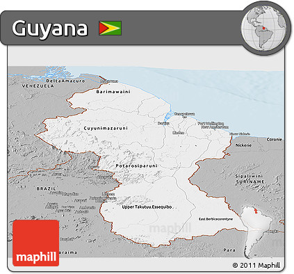 Gray Panoramic Map of Guyana