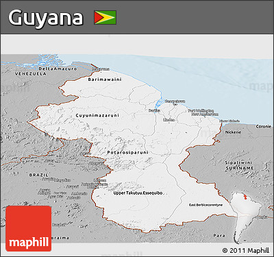 Gray Panoramic Map of Guyana
