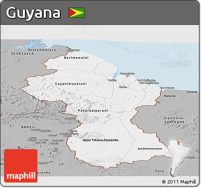 Gray Panoramic Map of Guyana