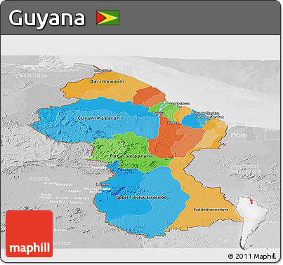 Political Panoramic Map of Guyana, lighten, desaturated